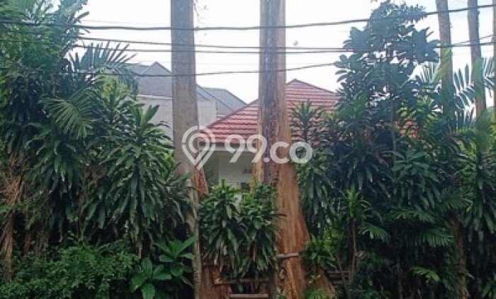 Rumah Mewah Siap Huni LT 689m2 di Menteng, Jakarta Pusat Rumah Mewah Siap Huni LT 689m2 di Menteng, Jakarta Pusat