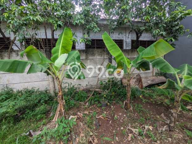 Tanah Dijual Area Strategis di Sektor 9-Bintaro Tangerang Selatan 166m2 Tanah Dijual Area Strategis di Sektor 9-Bintaro Tangerang Selatan 166m2