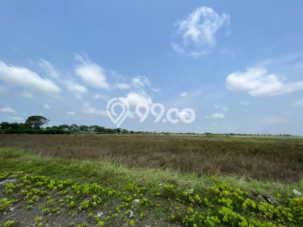Lahan untuk Dijual di Sepatan Tangerang Luas 77000m2 Lahan untuk Dijual di Sepatan Tangerang Luas 77000m2