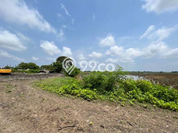 Lahan untuk Dijual di Sepatan Tangerang Luas 77000m2 Lahan untuk Dijual di Sepatan Tangerang Luas 77000m2