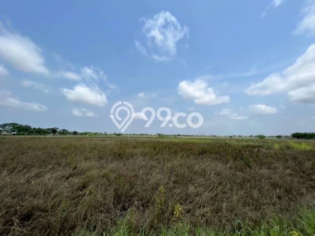 Lahan untuk Dijual di Sepatan Tangerang Luas 77000m2 Lahan untuk Dijual di Sepatan Tangerang Luas 77000m2