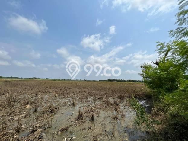 Lahan untuk Dijual di Sepatan Tangerang Luas 77000m2 Lahan untuk Dijual di Sepatan Tangerang Luas 77000m2