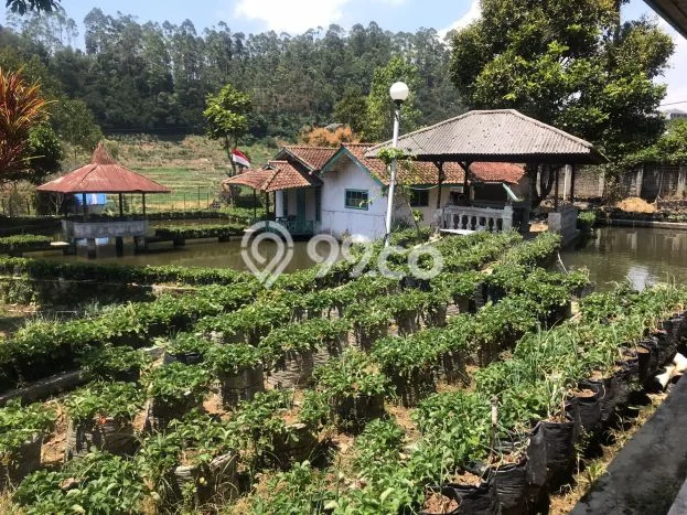 Best Deal Hunian Mewah Ideal dan Luas di Ciwidey, Bandung Best Deal Hunian Mewah Ideal dan Luas di Ciwidey, Bandung