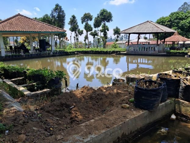Best Deal Hunian Mewah Ideal dan Luas di Ciwidey, Bandung Best Deal Hunian Mewah Ideal dan Luas di Ciwidey, Bandung