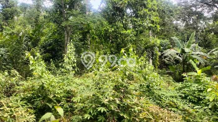 Tanah Komersial Dijual di Cariu Bogor 2985m2 Tanah Komersial Dijual di Cariu Bogor 2985m2