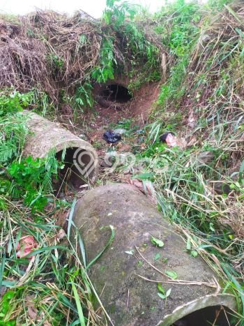 Tanah Komersial Dijual di Gunung Putri Bogor 2058m2 Tanah Komersial Dijual di Gunung Putri Bogor 2058m2