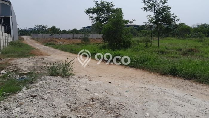 Tanah Dijual Lokasi Gunung Putri, Bogor Luas 1980m2 Legalitas Aman Tanah Dijual Lokasi Gunung Putri, Bogor Luas 1980m2 Legalitas Aman