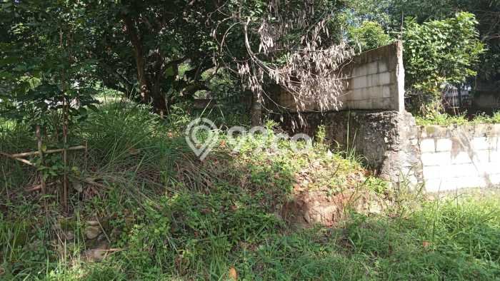 Kavling Tanah di Cileungsi Dijual Luas 3000m2 Legalitas AJB Kavling Tanah di Cileungsi Dijual Luas 3000m2 Legalitas AJB