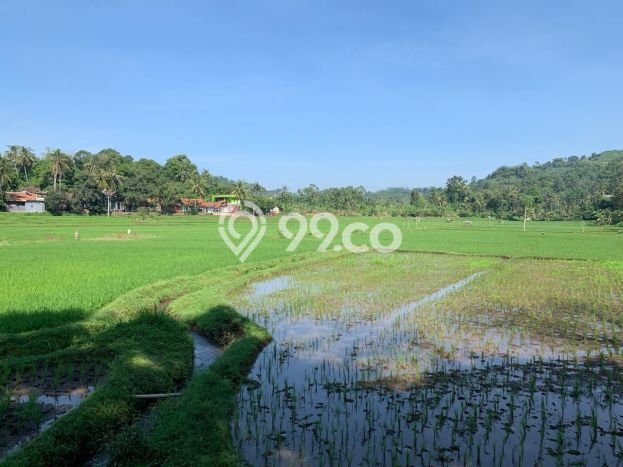 Dijual Tanah di Cianjur Cianjur Luas 270000m2 SHM Dijual Tanah di Cianjur Cianjur Luas 270000m2 SHM