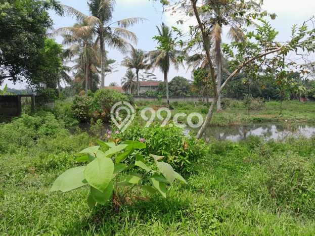 Tanah di Ciseeng, Bogor Luas 11000m2 Dijual Segera Tanah di Ciseeng, Bogor Luas 11000m2 Dijual Segera