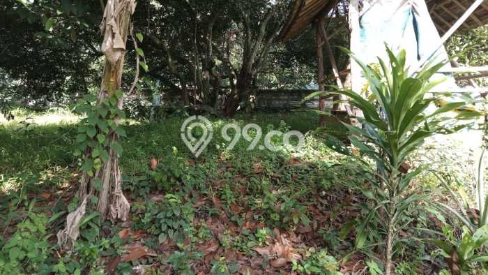 Kavling Tanah di Cileungsi Dijual Luas 3000m2 Legalitas AJB Kavling Tanah di Cileungsi Dijual Luas 3000m2 Legalitas AJB