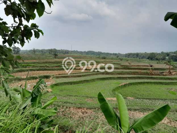 Tanah Kavling untuk Dijual di Jonggol Bogor 130000m2 Tanah Kavling untuk Dijual di Jonggol Bogor 130000m2