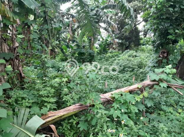 Dijual Tanah Lokasi Jati Asih, Bekasi Seluas 2875m2 Dijual Tanah Lokasi Jati Asih, Bekasi Seluas 2875m2