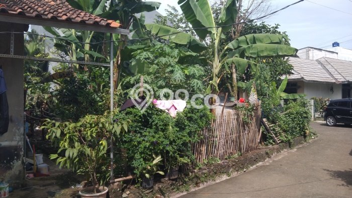 Dijual Rumah 4 Kamar Lokasi Strategis Nyaman dan Strategis di Cileungsi Dijual Rumah 4 Kamar Lokasi Strategis Nyaman dan Strategis di Cileungsi