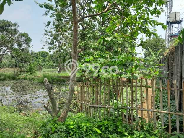 Tanah di Ciseeng, Bogor Luas 11000m2 Dijual Segera Tanah di Ciseeng, Bogor Luas 11000m2 Dijual Segera