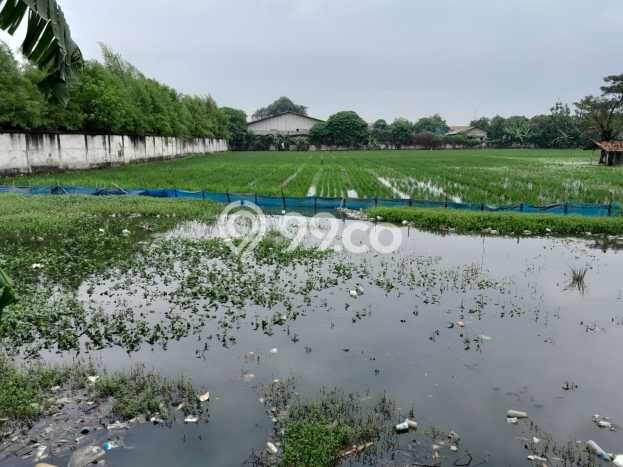 Kavling Tanah Dijual di Karawang Barat Karawang Spesifikasi 10000m2 Kavling Tanah Dijual di Karawang Barat Karawang Spesifikasi 10000m2