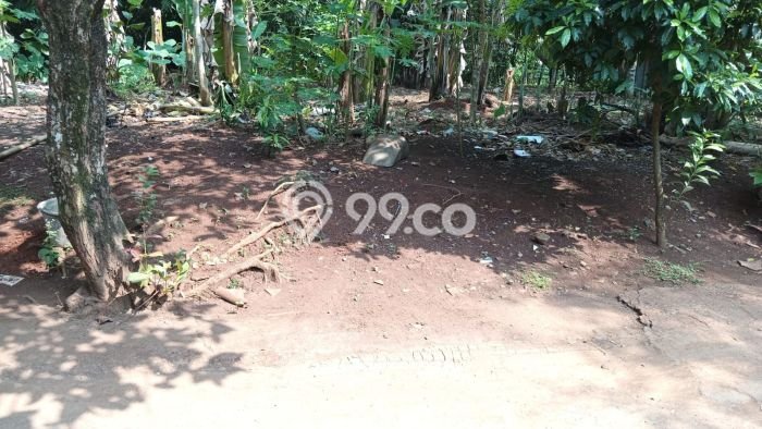 Kavling Tanah di Cileungsi Dijual Luas 3000m2 Legalitas AJB Kavling Tanah di Cileungsi Dijual Luas 3000m2 Legalitas AJB