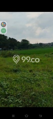 Kavling Tanah di Cibarusah Dijual Luas 2800m2 Legalitas SHM Kavling Tanah di Cibarusah Dijual Luas 2800m2 Legalitas SHM