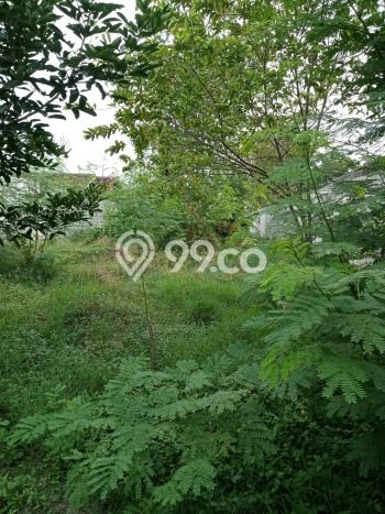 Kavling Tanah di Karawang Barat Dijual Luas 586m2 Legalitas SHM Kavling Tanah di Karawang Barat Dijual Luas 586m2 Legalitas SHM