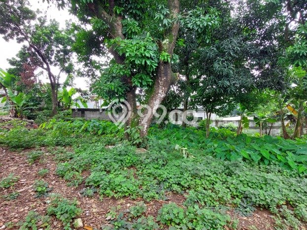 Kavling Tanah untuk Dijual di Kota Wisata, Bogor, Luas 950m2 Kavling Tanah untuk Dijual di Kota Wisata, Bogor, Luas 950m2