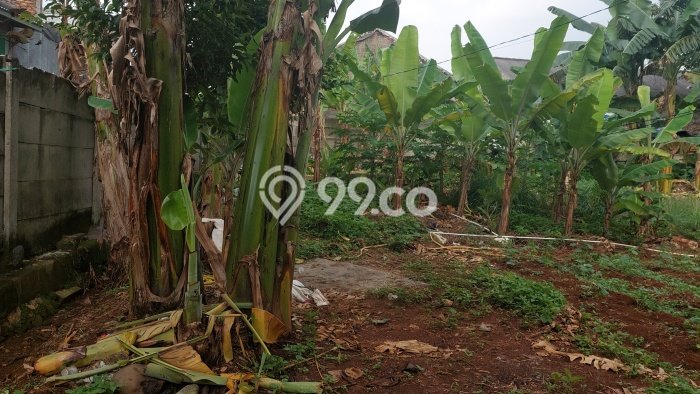 Dijual Tanah Lokasi Cibubur, Depok Seluas 1400m2 Dijual Tanah Lokasi Cibubur, Depok Seluas 1400m2