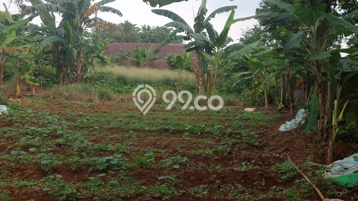 Dijual Tanah Lokasi Cibubur, Depok Seluas 1400m2 Dijual Tanah Lokasi Cibubur, Depok Seluas 1400m2