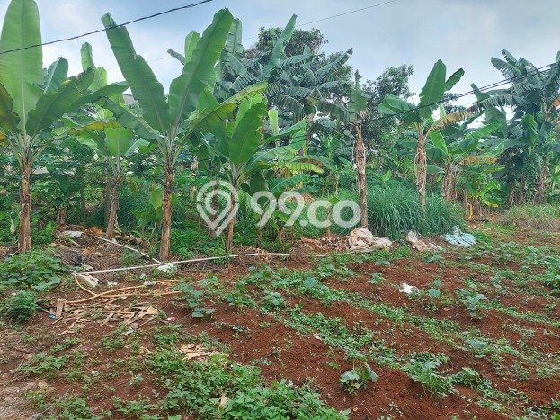 Dijual Tanah Lokasi Cibubur, Depok Seluas 1400m2 Dijual Tanah Lokasi Cibubur, Depok Seluas 1400m2
