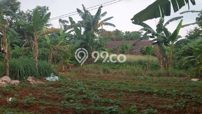 Dijual Tanah Lokasi Cibubur, Depok Seluas 1400m2 Dijual Tanah Lokasi Cibubur, Depok Seluas 1400m2