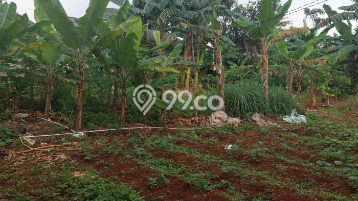 Dijual Tanah Lokasi Cibubur, Depok Seluas 1400m2 Dijual Tanah Lokasi Cibubur, Depok Seluas 1400m2