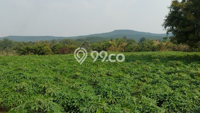 Kavling Tanah di Kemang Dijual Luas 30000m2 Legalitas - Kavling Tanah di Kemang Dijual Luas 30000m2 Legalitas -
