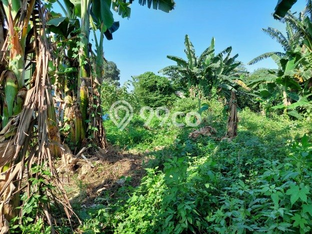 Tanah untuk Dijual di Gunung Putri Bogor Luas 3565m2 Tanah untuk Dijual di Gunung Putri Bogor Luas 3565m2