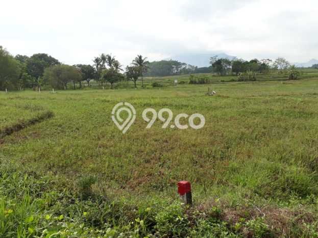 Kavling Tanah Dijual di Cariu Bogor Spesifikasi 2850m2 Kavling Tanah Dijual di Cariu Bogor Spesifikasi 2850m2