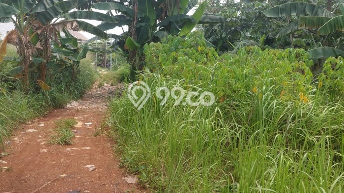 Tanah Dijual Lokasi Tapos, Depok dengan Luas Tanah 12000m2 dan Status - Tanah Dijual Lokasi Tapos, Depok dengan Luas Tanah 12000m2 dan Status -