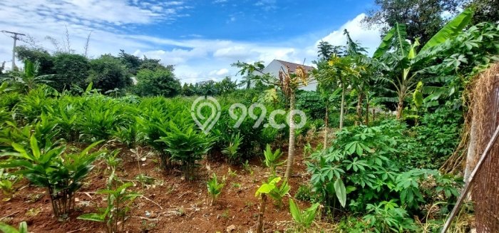 Dijual Tanah Lokasi Cibubur, Depok Seluas 2050m2 Dijual Tanah Lokasi Cibubur, Depok Seluas 2050m2