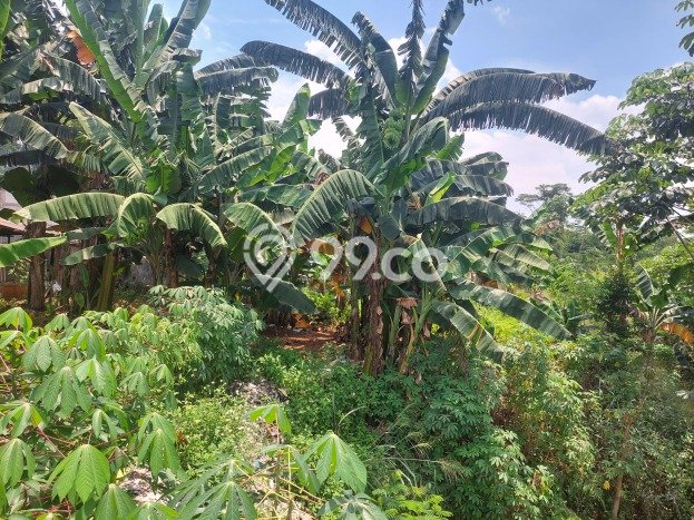 Tanah Dijual Lokasi Tapos, Depok dengan Luas Tanah 12000m2 dan Status - Tanah Dijual Lokasi Tapos, Depok dengan Luas Tanah 12000m2 dan Status -