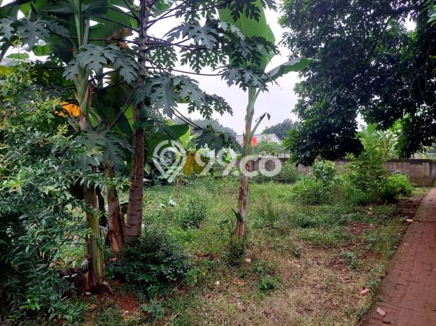 Tanah Siap Bangun Dijual di Depok Punya Luas 375m2 Tanah Siap Bangun Dijual di Depok Punya Luas 375m2