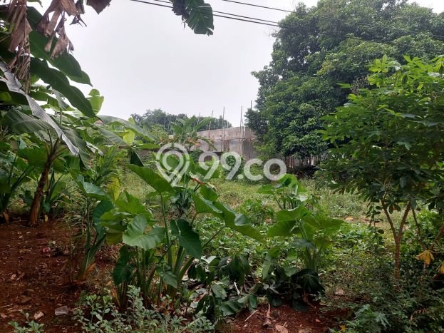 Tanah Siap Bangun Dijual di Depok Punya Luas 375m2 Tanah Siap Bangun Dijual di Depok Punya Luas 375m2