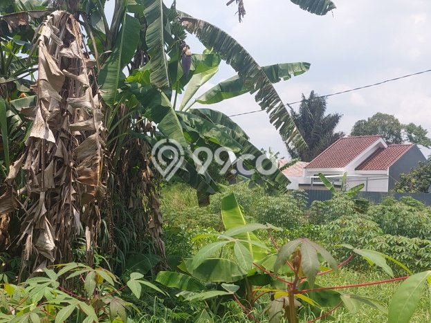 Tanah Kavling untuk Dijual di Tapos Depok 4000m2 Tanah Kavling untuk Dijual di Tapos Depok 4000m2