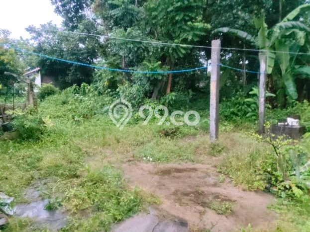 Dijual Tanah di Purworejo Purworejo Luas 898m2 SHM Dijual Tanah di Purworejo Purworejo Luas 898m2 SHM