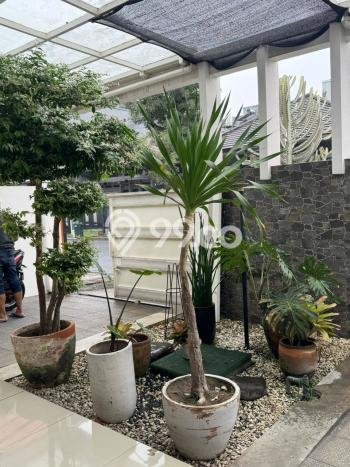 Disewakan Cepat Rumah Kondisi Baik di Kawasan Batununggal, Bandung Disewakan Cepat Rumah Kondisi Baik di Kawasan Batununggal, Bandung