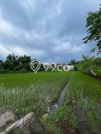 Dijual Tanah Lokasi Purwodadi, Malang Seluas 1900m2 Dijual Tanah Lokasi Purwodadi, Malang Seluas 1900m2