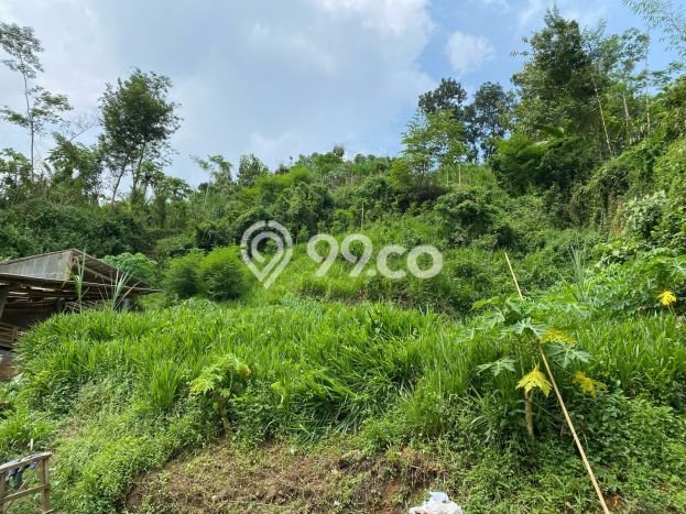 Tanah Kavling di Dampit Dijual dengan Luas 3990m2 Tanah Kavling di Dampit Dijual dengan Luas 3990m2