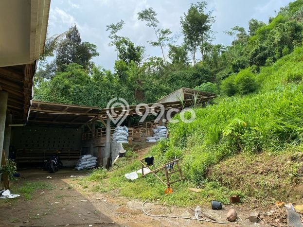 Tanah Kavling di Dampit Dijual dengan Luas 3990m2 Tanah Kavling di Dampit Dijual dengan Luas 3990m2