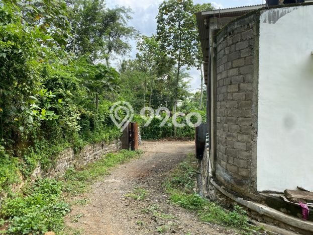Tanah Kavling di Dampit Dijual dengan Luas 3990m2 Tanah Kavling di Dampit Dijual dengan Luas 3990m2
