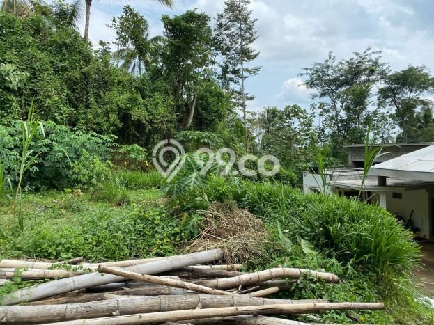 Tanah Kavling di Dampit Dijual dengan Luas 3990m2 Tanah Kavling di Dampit Dijual dengan Luas 3990m2