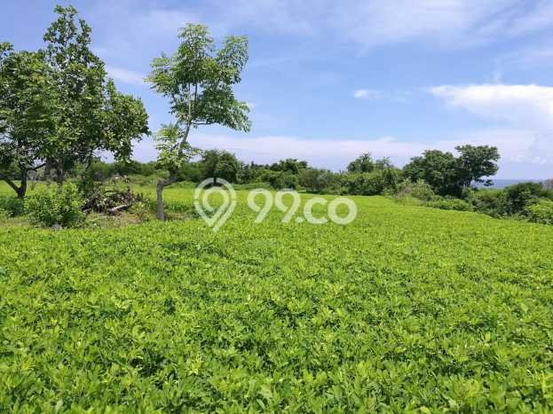 Lahan Investasi Lokasi Gangga Lombok Utara SHM Lahan Investasi Lokasi Gangga Lombok Utara SHM