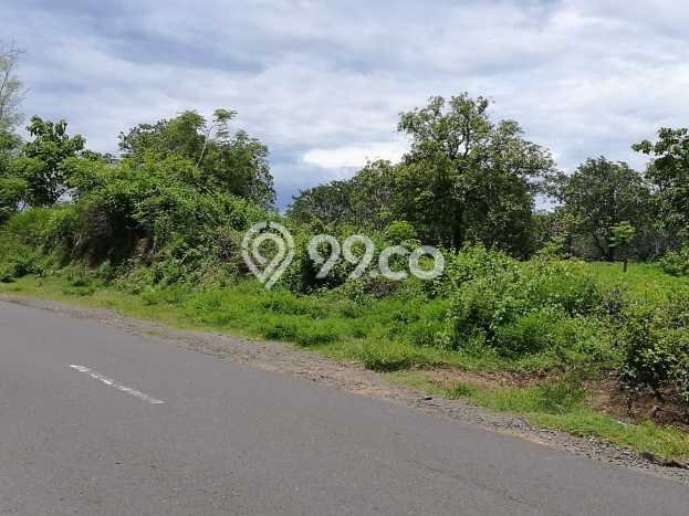 Lahan Investasi Lokasi Gangga Lombok Utara SHM Lahan Investasi Lokasi Gangga Lombok Utara SHM