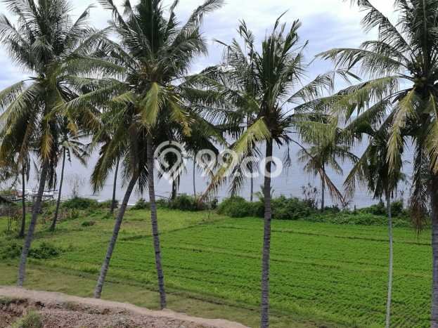 Lahan Investasi Lokasi Gangga Lombok Utara SHM Lahan Investasi Lokasi Gangga Lombok Utara SHM