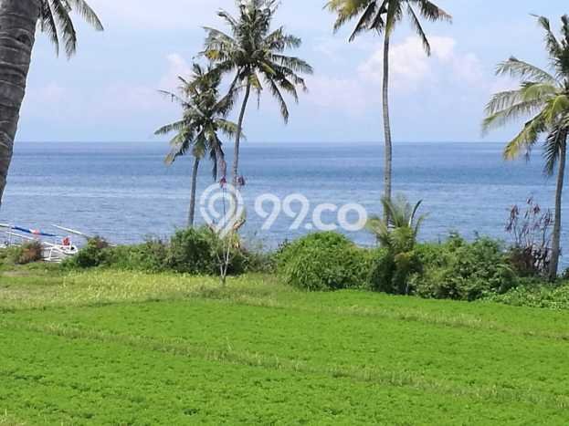 Lahan Investasi Lokasi Gangga Lombok Utara SHM Lahan Investasi Lokasi Gangga Lombok Utara SHM