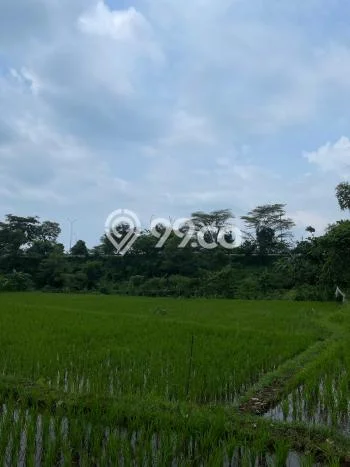 Dijual Tanah Lokasi Purwodadi, Malang Seluas 1900m2 Dijual Tanah Lokasi Purwodadi, Malang Seluas 1900m2